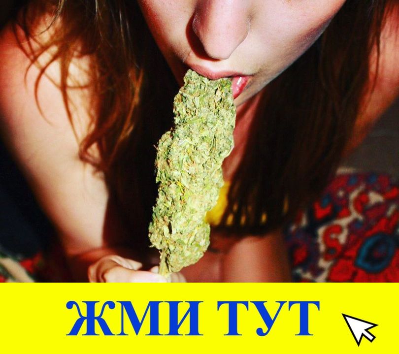 Купить наркотики в Санкт-Петербурге